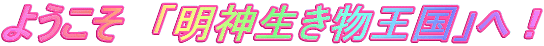 悤@u_vցI