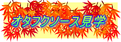 �I�^�t�N�\�[�X���w