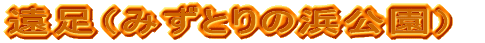 �����i�݂��Ƃ�̕l�����j