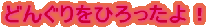 どんぐりをひろったよ!
