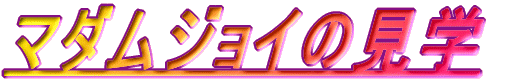 �}�_���W���C�̌��w