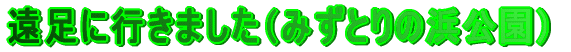 ɍs܂i݂Ƃ̕lj