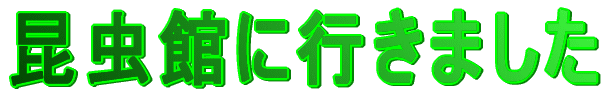 قɍs܂